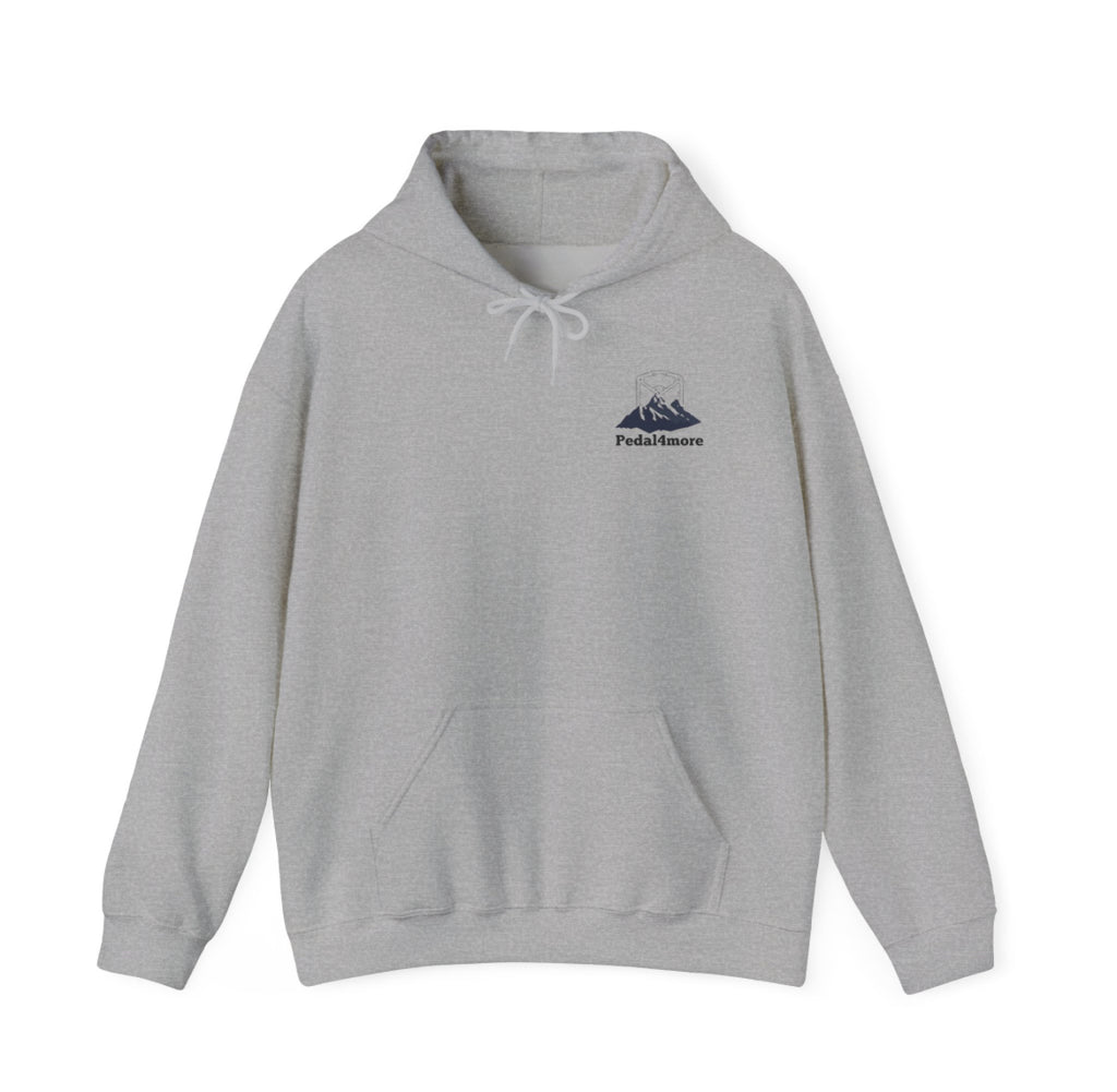 Grey mountain hoodie